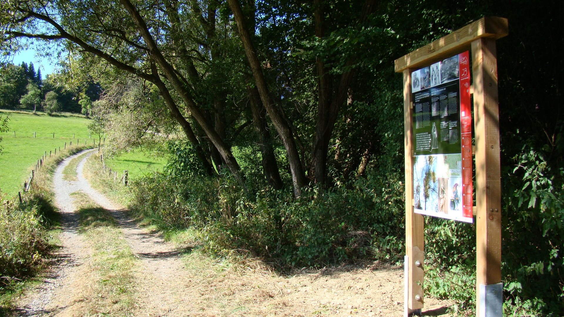 Am Wegesrand eines Feldweges steht eine Infotafel des Waldmythenweges. Hinter ihr beginnt auf der rechten Seite des Bildes der Wald. Links vom Weg ist eine grüne Wiese.